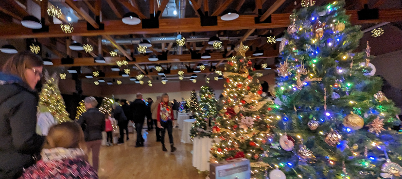 Festival of Trees